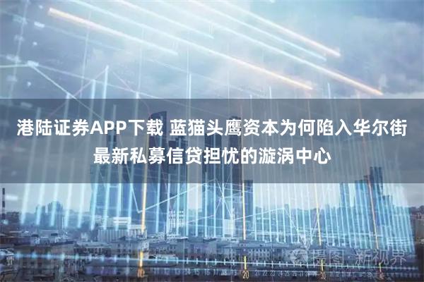 港陆证券APP下载 蓝猫头鹰资本为何陷入华尔街最新私募信贷担忧的漩涡中心