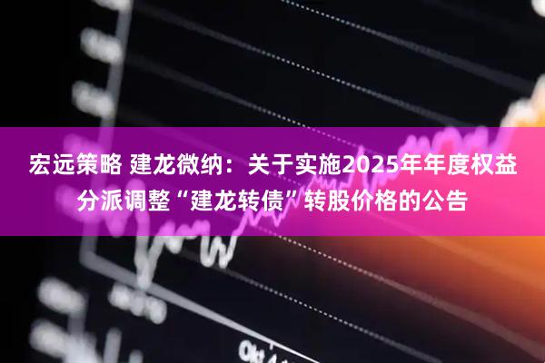 宏远策略 建龙微纳：关于实施2025年年度权益分派调整“建龙转债”转股价格的公告